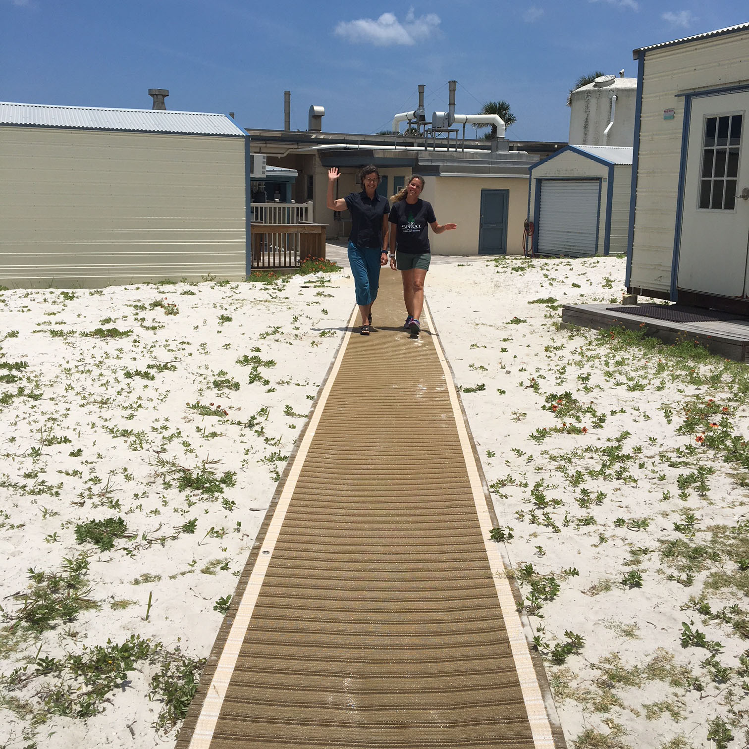New Walkway on Whitney Laboratory Campus