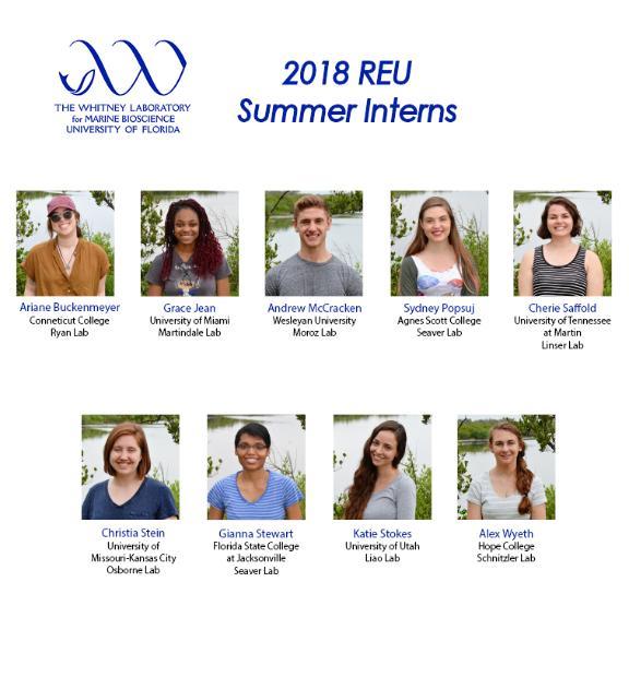 2018 REU Interns